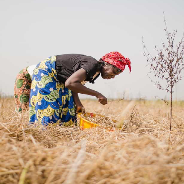 woman ghana