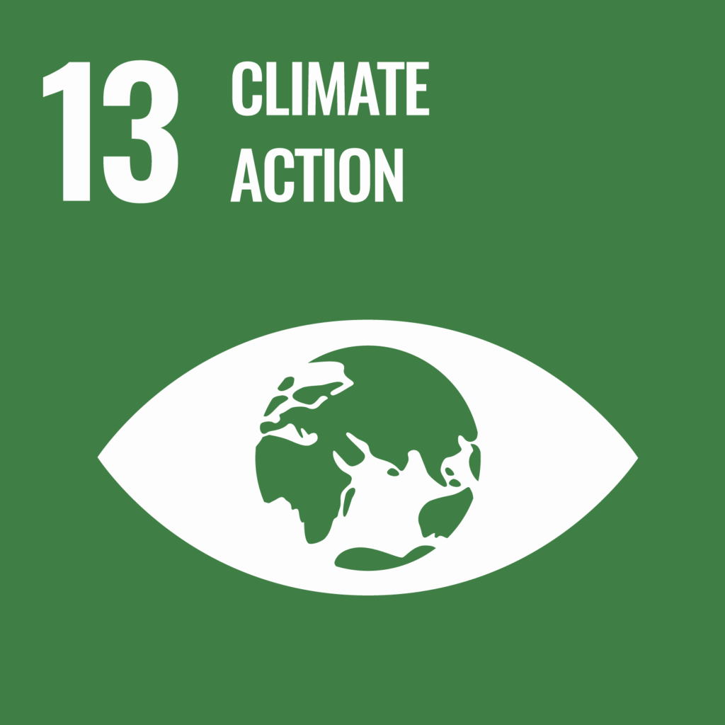 e web goal 13